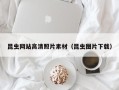 昌乐昆虫网站高清照片素材（昆虫图片下载）